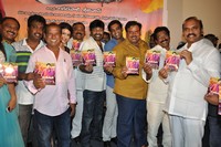 Kakateeyudu Audio Launch
